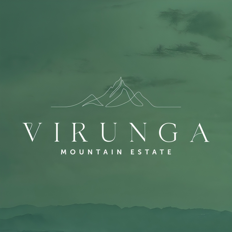 Virunga Mountain Estate (VME)